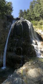 Scenic view of waterfall in forest