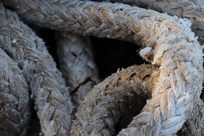 Detail shot of ropes