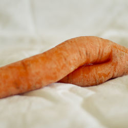 Close-up of carrot on white fabric