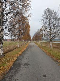 Road amidst trees against sky during autumn