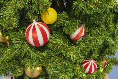 High angle view of christmas tree