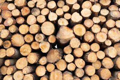 timber