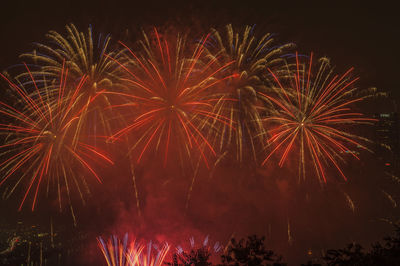 Low angle view of firework display