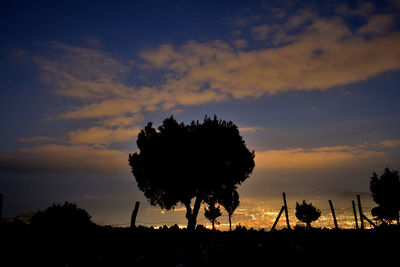 Silhouette trees on field against sky during sunset