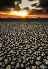 Dried lake with abandoned shoe