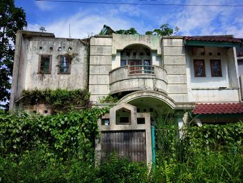 Ivy growing in front of building