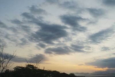 Low angle view of silhouette trees against sky during sunset