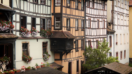 Potted plants on balcony of building