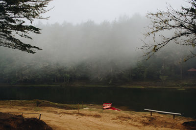 Scenic view of lake in forest during foggy weather