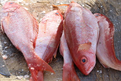 Close-up of fish for sale in market