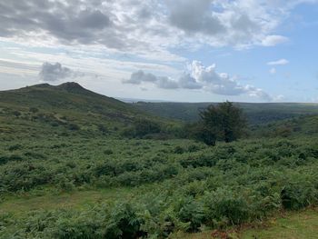 Scenic view of landscape against sky