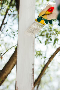 Cropped hand of painter painting pole