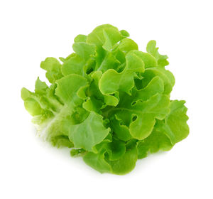 Close-up of green leaf against white background