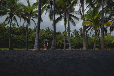 Man walking on palm trees