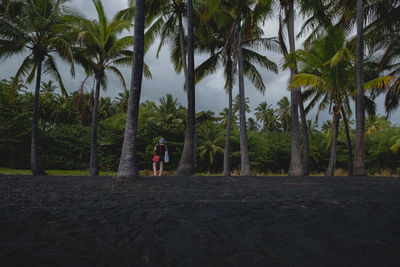 Woman standing in line of palm trees on black sand beach in hawaii.