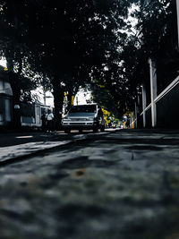 Surface level of road amidst trees in city