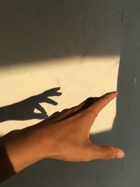 Cropped hand with shadow on wall