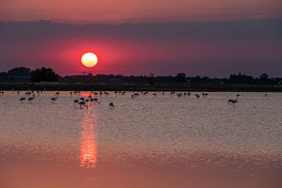 Scenic view of sunset over sea