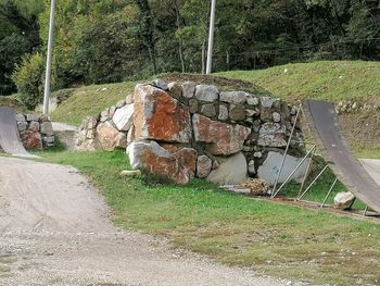 View of stone wall by trees on field