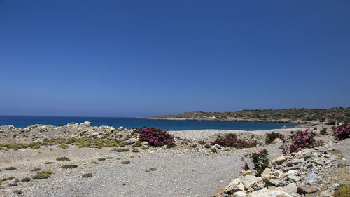 Scenic view of beach against clear blue sky