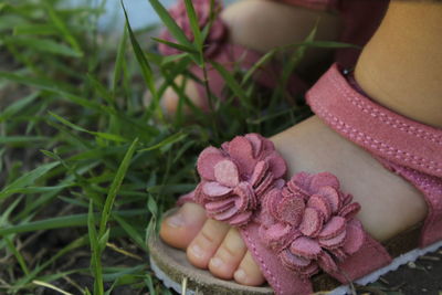 Close-up of hand holding plant