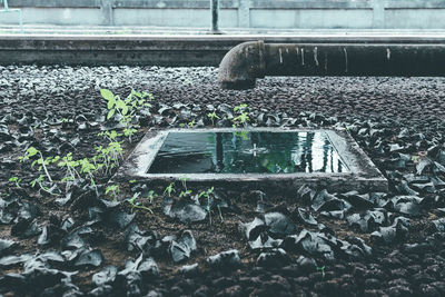 Stone wall by railroad tracks in city