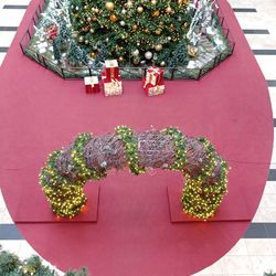 High angle view of christmas tree