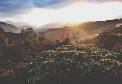 Scenic view of mountains against sky during sunset