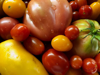 Full frame shot of tomatoes