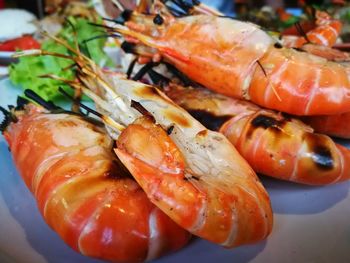 Close-up of seafood in plate