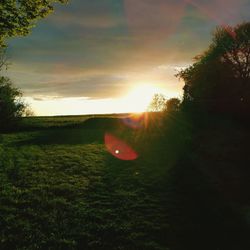 Scenic view of field against sky during sunset