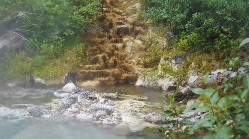 Stream flowing through rocks