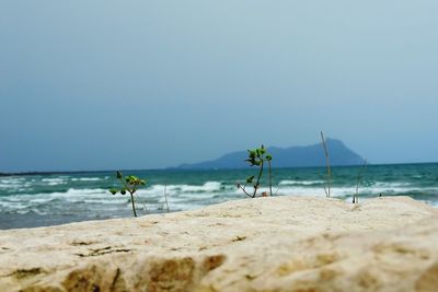 Scenic view of beach against clear sky