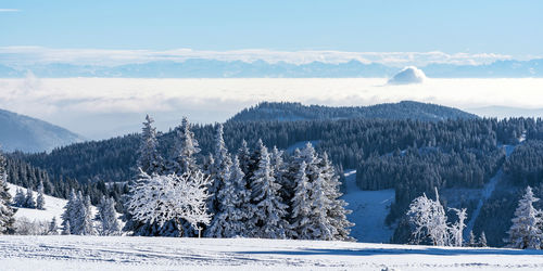 Panoramic view of snow covered mountains against sky