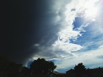 Low angle view of trees against cloudy sky