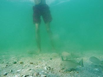 Low section of man swimming in sea