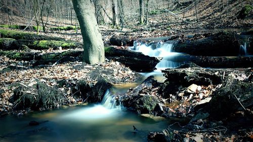 River flowing through rocks