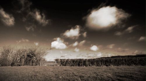 Scenic view of field against cloudy sky