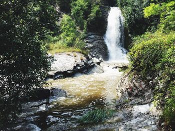 Close-up of waterfall against trees