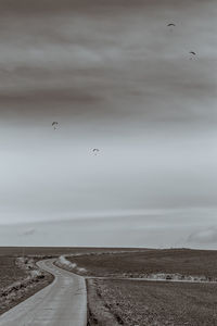 Birds flying over beach against sky