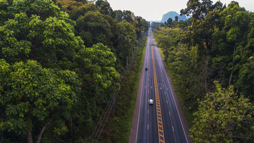 Road amidst trees in forest