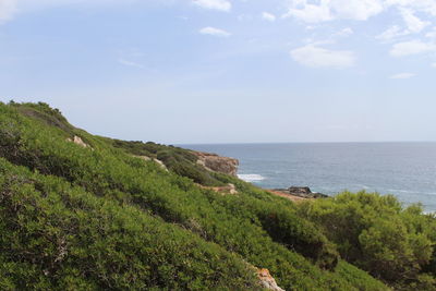 Scenic view of sea against sky