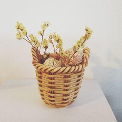 Close-up of potted plant in basket on table against white background