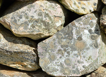 Close-up of stones on rock