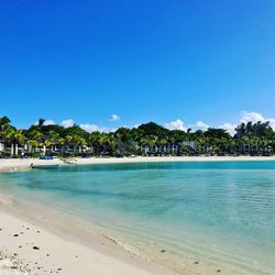 Scenic view of beach