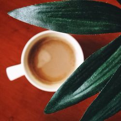 Directly above shot of coffee cup on table