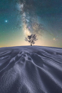 Silhouette tree on field against sky at night