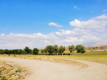 Scenic view of trees on field against sky