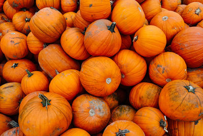 High angle view of pumpkins in market