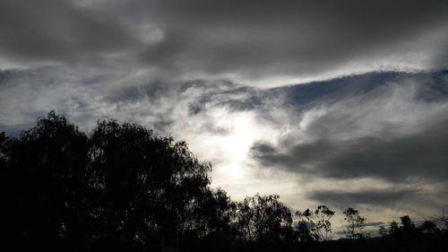 Low angle view of silhouette trees against sky